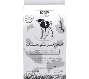 استارتر آجیلی گوساله